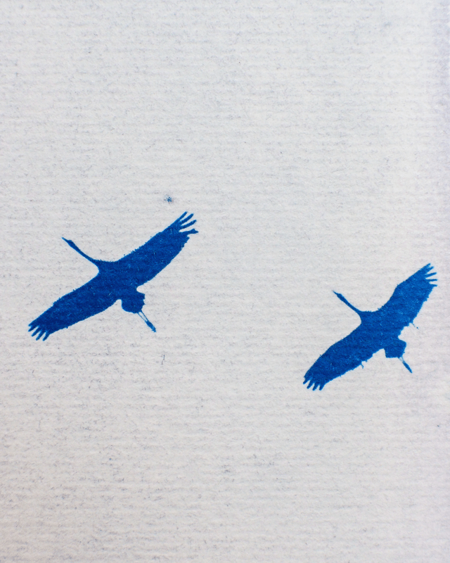 Petit Format - Les grues cendrées