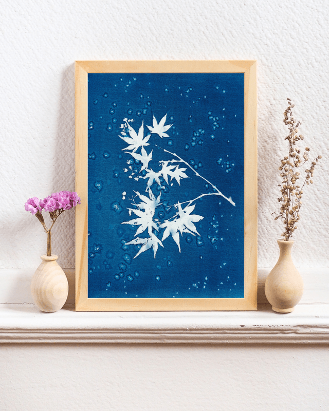 Premières Neiges (Érable)