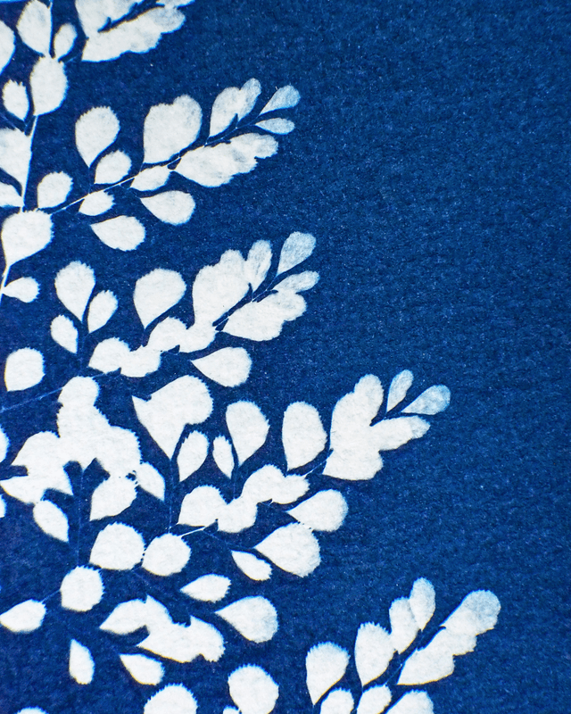 Capillaire élégante - édition hiver