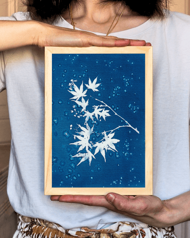 Premières Neiges (Érable)