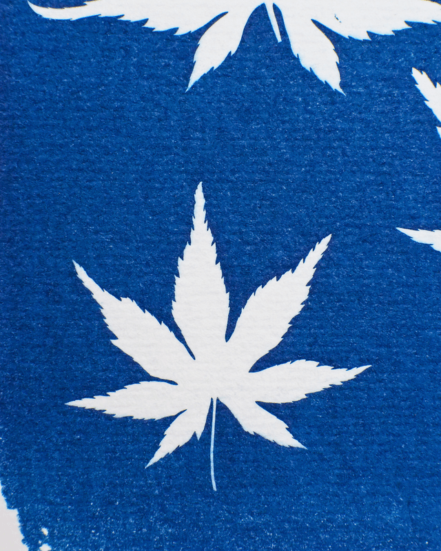Petit Format - Feuilles d'érable
