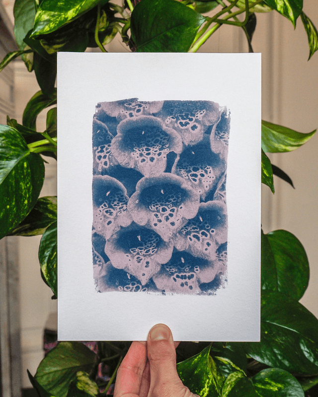 Les fleurs de digitale