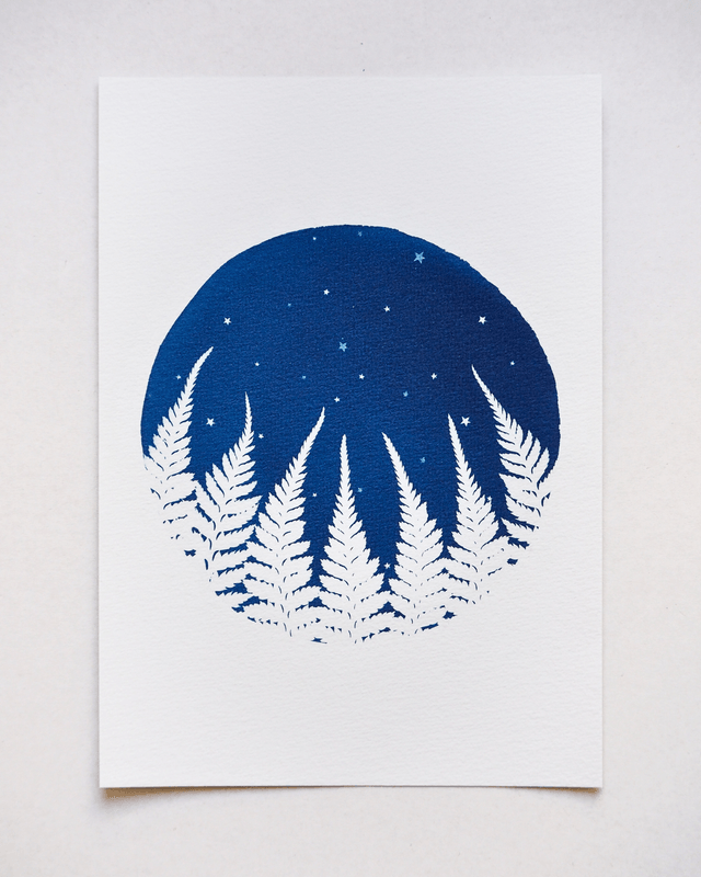 Forêt de Fougères (Nuit Étoilée)