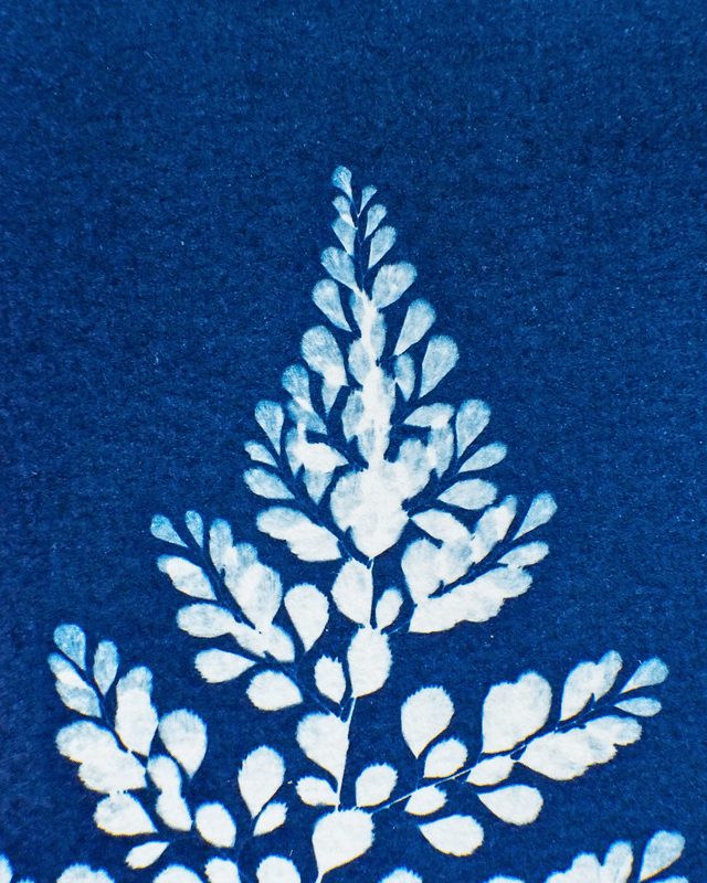 Capillaire élégante - édition hiver