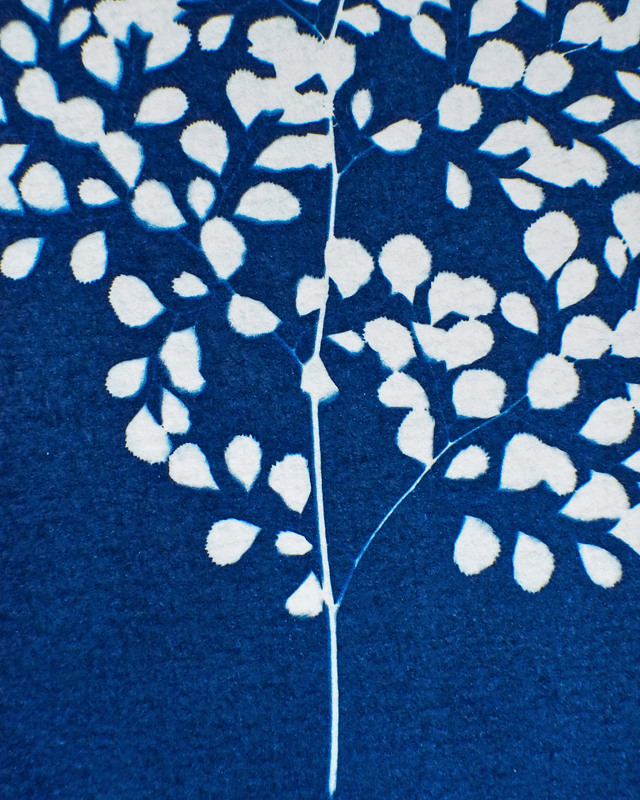 Capillaire élégante - édition hiver
