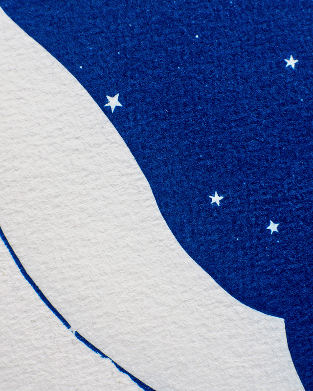 Baleine Nuit Étoilée