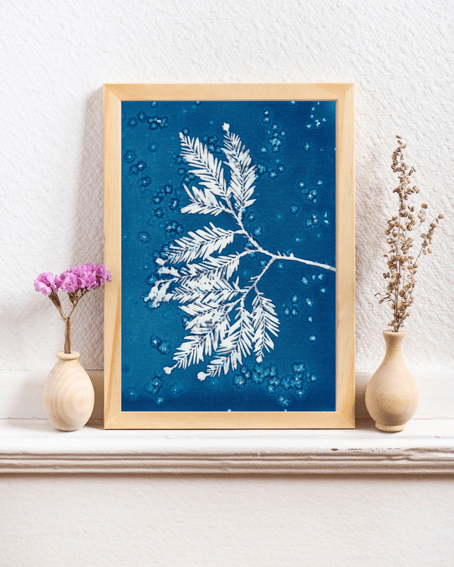 Premières Neiges (Séquoia)