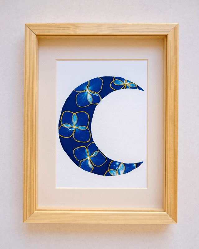 Clair de Lune (Hortensia doré)
