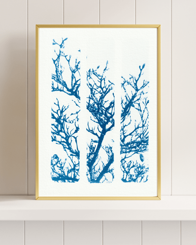 Le Magnolia