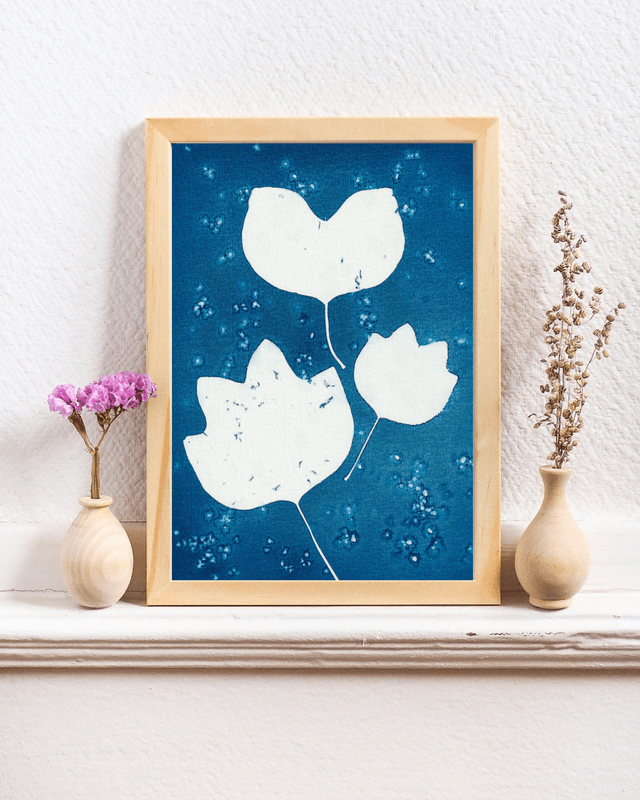 Premières Neiges (Tulipier de Virginie)
