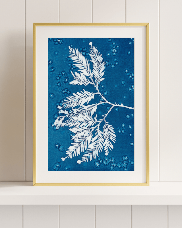 Premières Neiges (Séquoia)