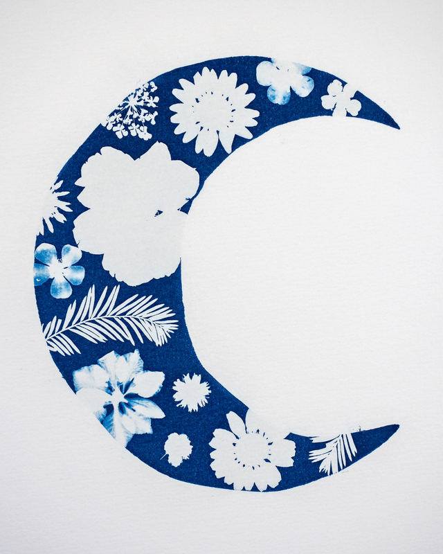 Clair de Lune Fleuri