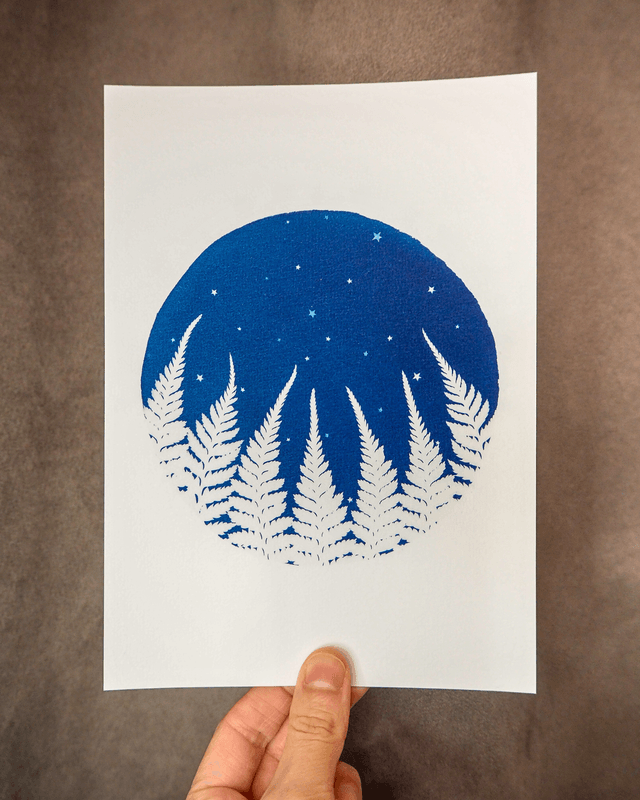 Forêt de Fougères (Nuit Étoilée)