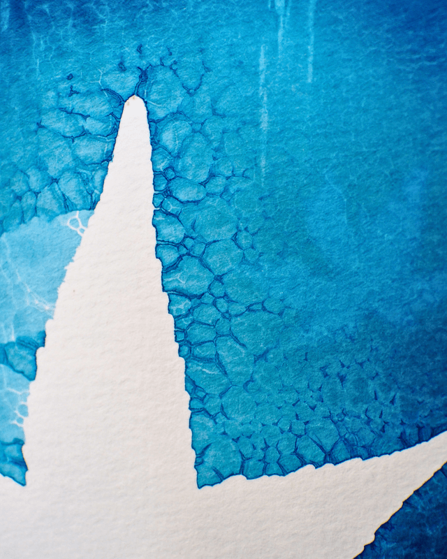 Petit Format - Feuilles d'érable (wet cyanotype)