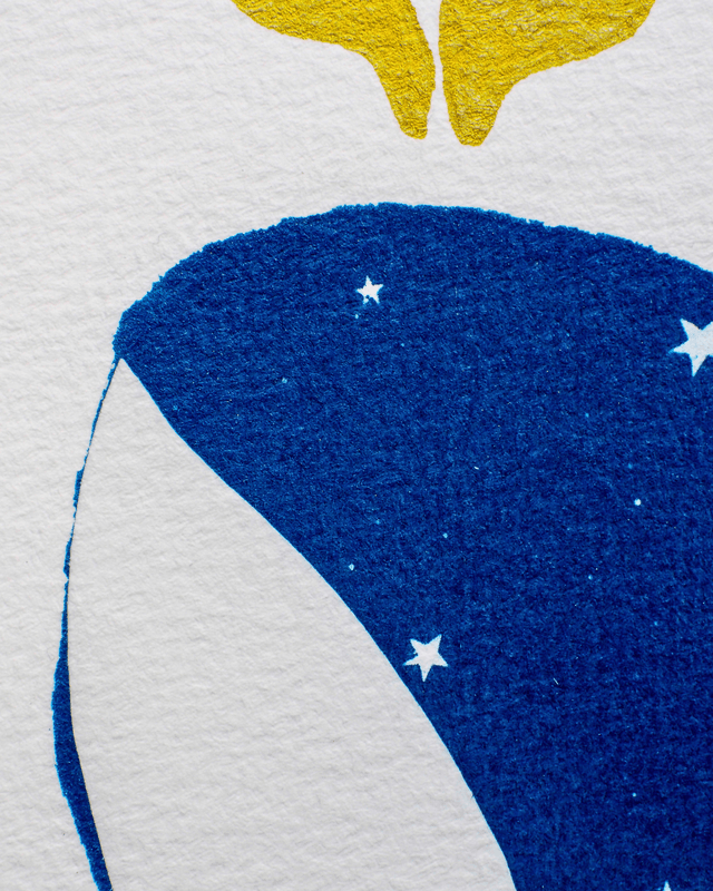 Baleine Nuit Étoilée