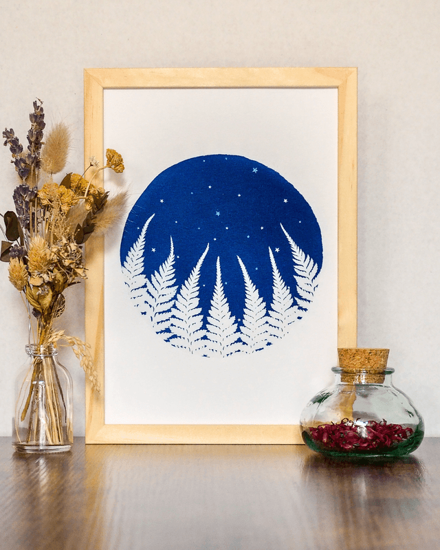 Forêt de Fougères (Nuit Étoilée)