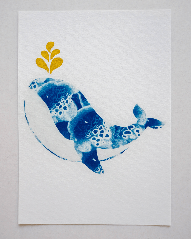 Baleine Fleurs de Digitale