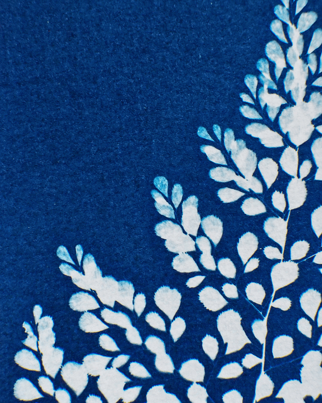 Capillaire élégante - édition hiver