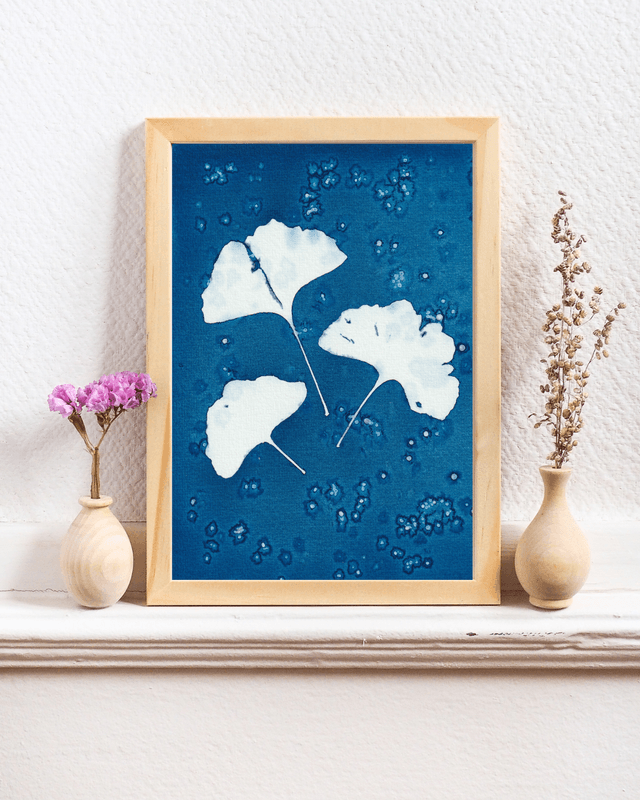 Premières Neiges (Ginkgo)