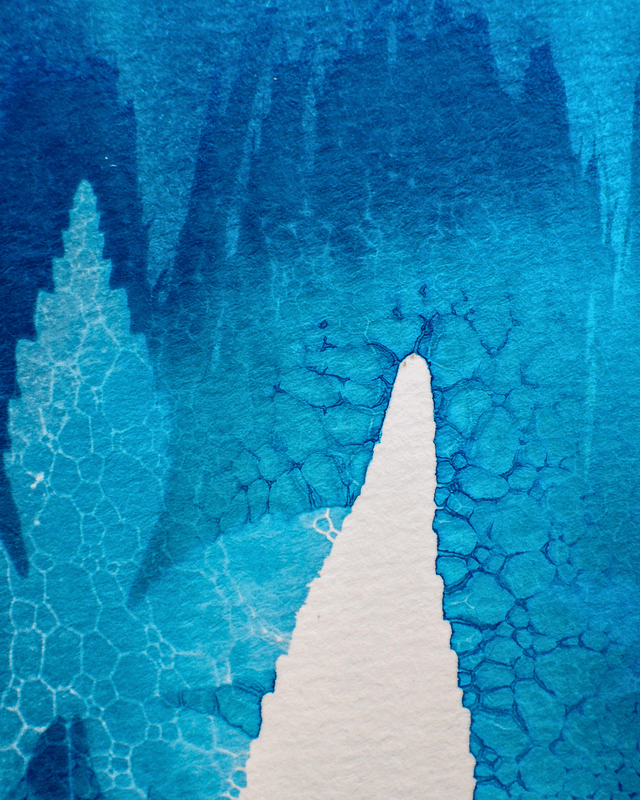 Petit Format - Feuilles d'érable (wet cyanotype)