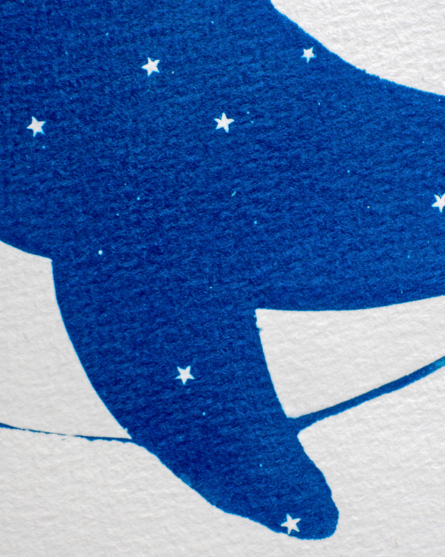 Baleine Nuit Étoilée