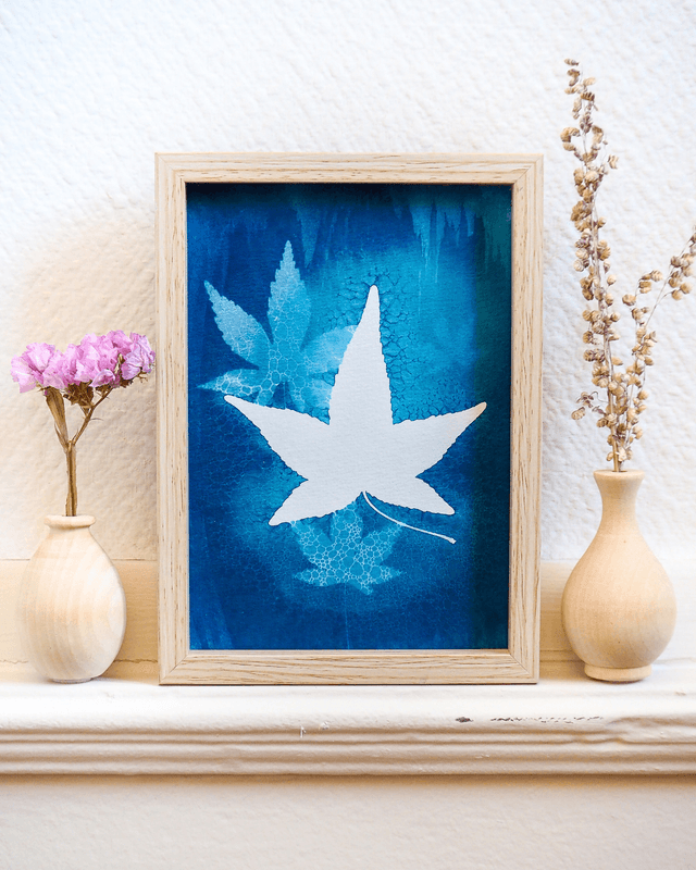 Petit Format - Feuilles d&#039;érable (wet cyanotype)