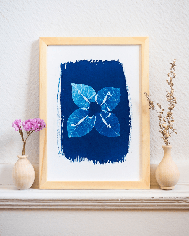 Bougainvillier
